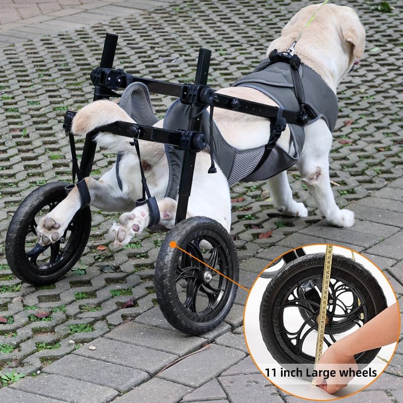 Large Dog Wheelchair for Back Legs with Pet Traction Rope - Adjustable Hind Leg Support Cart with Breathable Air Mesh Harness, All-Terrain Wheels & Foldable Frame - Mobility Aid for Disabled/Injured