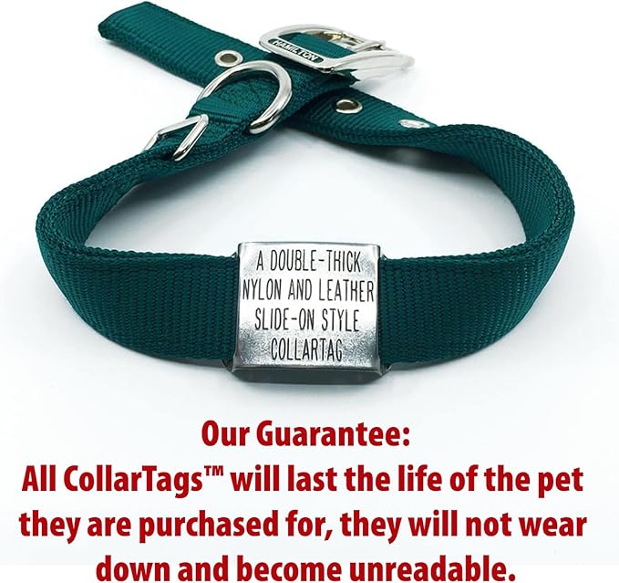 Dog Tag for Leather Collar - Boomerang Tags, Dog Tags for Thick Collars, Slide-on Engraved Pet ID Tag (Closed End Medium for 3/4 Inch Wide, Thick Nylon or Leather Collars with Belt Buckle)