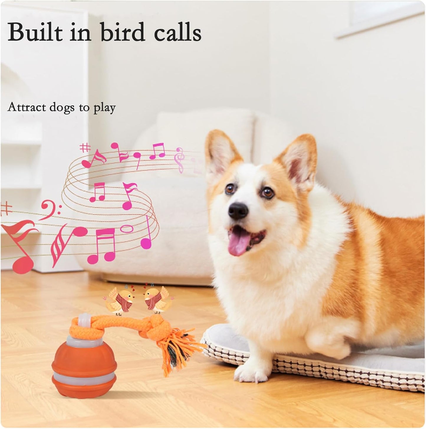 Interactive Dog Toys for Small Dogs,Moving Puppy Toys,Puppy Toys,Active Rolling Dog Ball,Dog Toys to Keep Them Busy for Daily Training