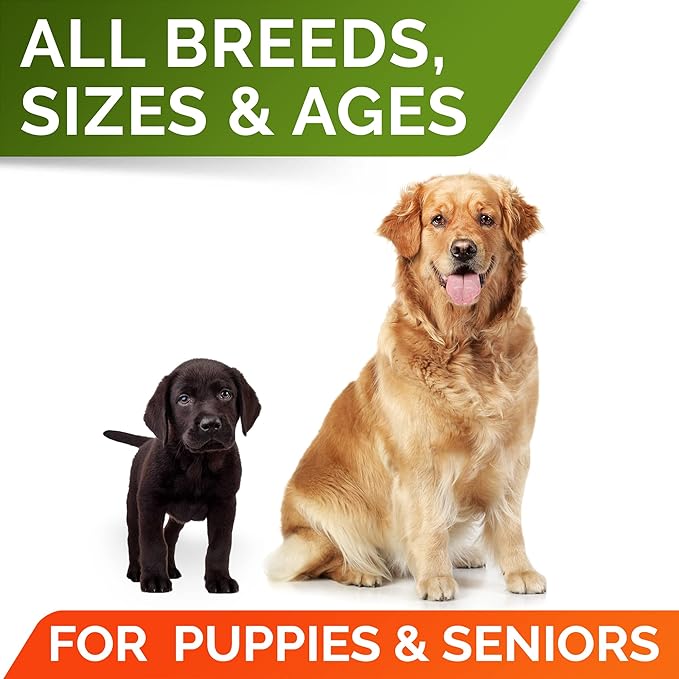 STRELLALAB Pumpkin Powder for Dogs - 16.2oz Powdered High Fiber Supplement and Stool Softener - Upset Stomach, Food Sensitivity - Improve Digestion - 16.2oz Powder