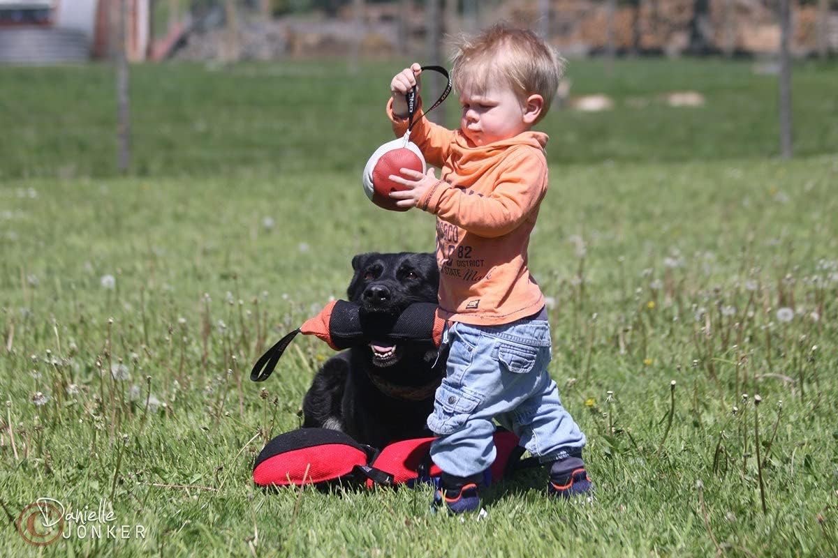 Dingo Gear Soft Genuine Leather Ball with a Handle for The Bite Training, Ø 11 cm Retrieve and Reward Dog Toy S02779, Random