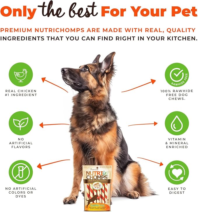 NutriChomps Dog Chews – 5-inch Twists, Easy to Digest, Rawhide-Free Dog Treats, Healthy, 10 Count, Real Chicken Flavor, Bundle of 2 (NT062V-2)