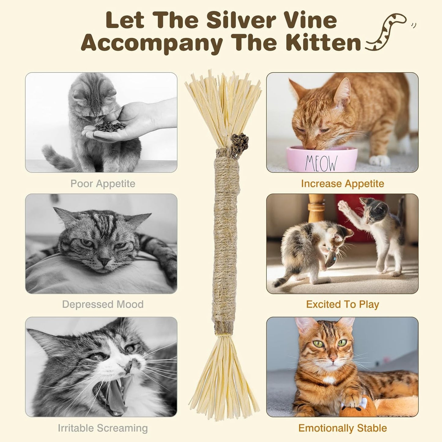 8 Pack Silvervine Sticks for Cats - Cat Chew Toy for Teeth Cleaning, Edible Matatabi Kitty Chew Sticks, Catnip Cat Toys for Indoor Cats