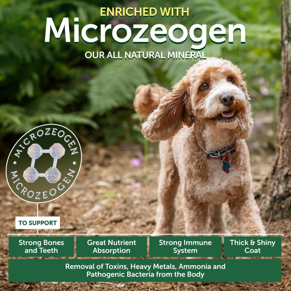 Nature's Protection Grain Free Dry Puppy Food for Small Breed - High Protein & Tear Stain Formula - Small Dog Food Kibble for Red Fur Puppies (Superior Care - Salmon, 22 lb)