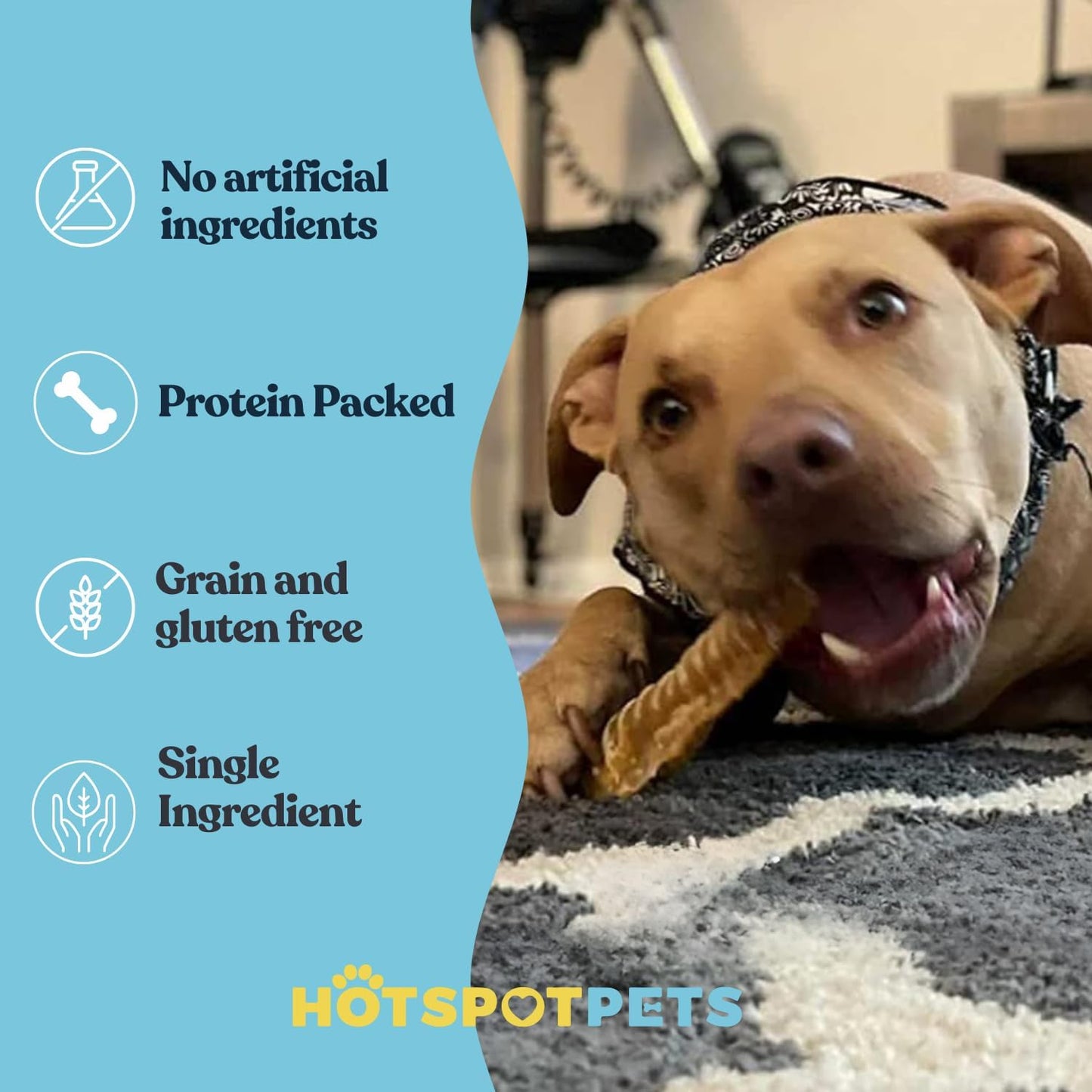 hotspot pets Premium Beef Trachea for Dogs 6" Strips Split (10 Pack) All Natural Grass-Fed Beef Dog Chews, Rich in Glucosamine Chondroitin for Joint Health, Single Ingredient No Rawhide Dog Treats