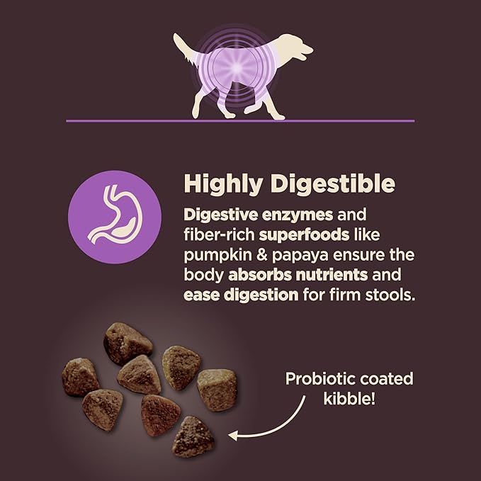 Wellness CORE Digestive Health Senior Dry Dog Food, Wholesome Grains, Natural, Recipe for Dogs with Sensitive Stomachs, Age Advantage Chicken & Brown Rice, (4-Pound Bag)