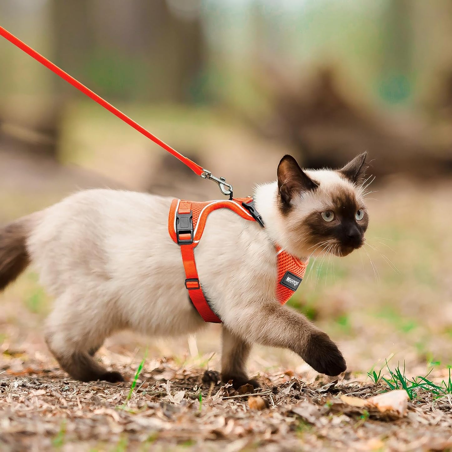 Cat Harness and Leash for Walking Escape Proof Soft Adjustable Cat Leash Breathable Comfortable Vest Easy to Wear Kitten Harness for Outdoor Travel, Orange, XS