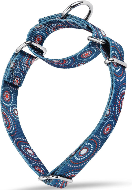 Martingale Collar Floral Print Dog Collar, No Pull Pet Collar, Heavy Duty Adjustable Dog Collar, Medium, Neck 14 Inch to 21 Inch, Firework Dots-Indigo
