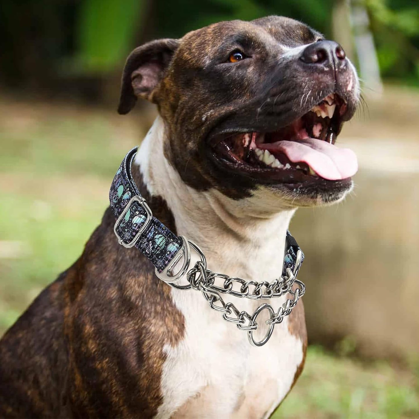 Martingale Dog Collar with Chain,Skull Reflective Nylon Soft Padded Adjustable Choke Collar for Large Breed Dogs, Medium, XL, XXL - Training & Walking Collar(Skull XL)