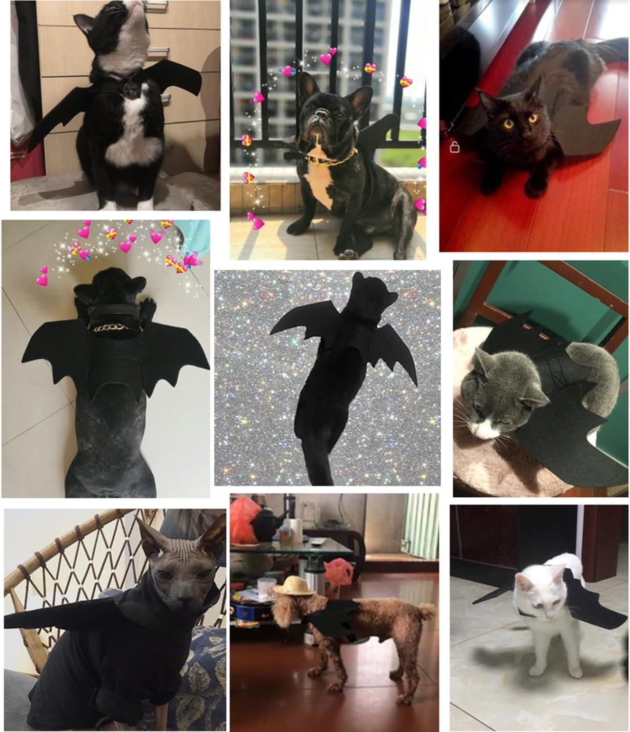 Pet Cat Bat Wings for Halloween Party Decoration, Dog Cosplay Bat Costume,Puppy and Cat Dress Up Accessories (Black, Small)