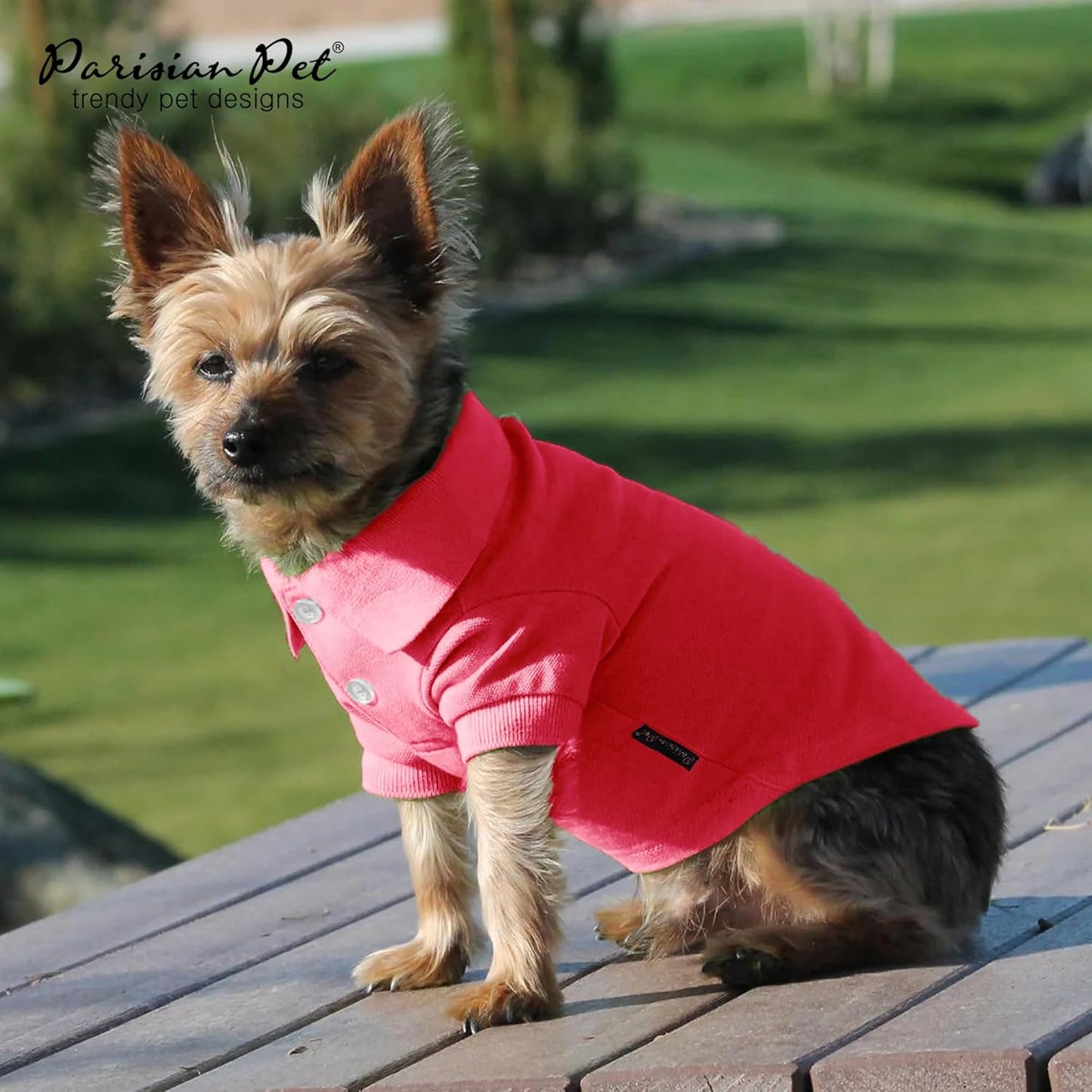 Parisian Pet Polo Shirts - Breathable Cotton Shirt for Dogs - Solid Color Summer Pullover Clothes - Button Up Collar, Pink for Large Dogs