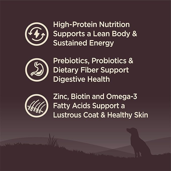 Wellness CORE Dry Dog Food, Small Breed, Grain-Free, High Protein, Natural, Original Turkey & Chicken Recipe, (4-Pound Bag)