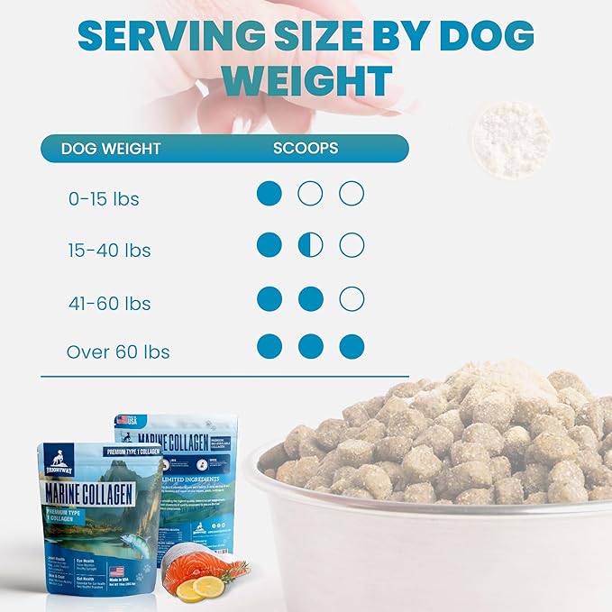 Wild Caught Marine Pet Collagen for Dogs, Peptide for Dogs - Improves Gut, Skin & Coat Health, Allergies, Pet Mobility Hip & Joint Supplement Health