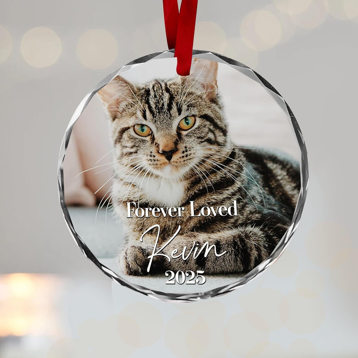 Personalized Cat Memorial Ornament - Custom Photo Keepsake for Christmas, Loss of Pet Gift from Family - Honor Forever Loved Furry Friend - Crystal Glass Ornament 2025