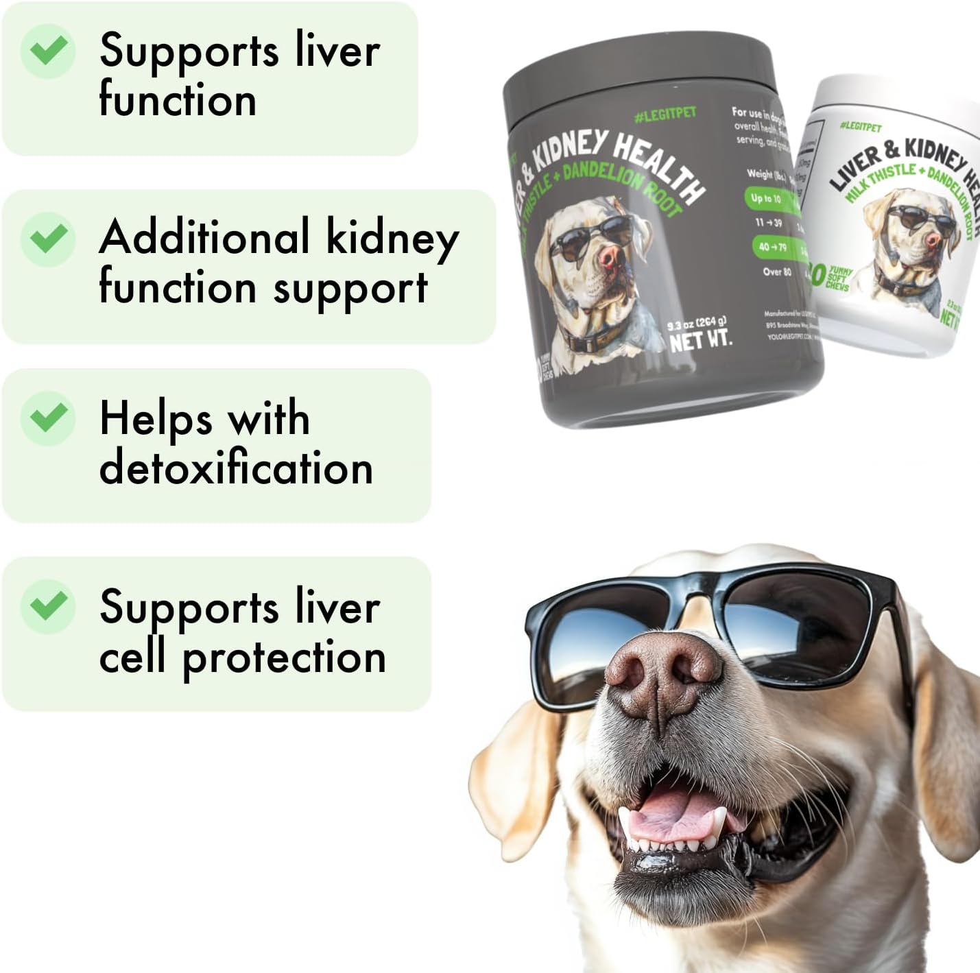 Liver & Kidney Support for Dogs Detox Natural Supplement with Milk Thistle Dandelion Root Turmeric Curcumin Hepatic Support Treats for Canine Liver Function, Immunity & Digestion 120 Soft Chews