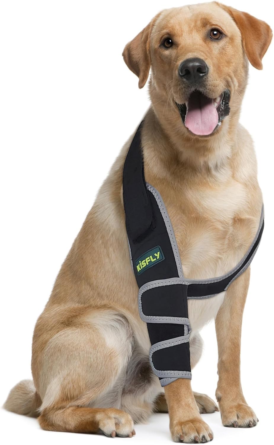 Dog Elbow Brace Protector for Canine Elbow and Shoulder Support Elbow Calluses Pressure Sores and Shoulder Dislocation Elbow Braces for Dogs Prevent Licking Wound with Reflective Right Leg M