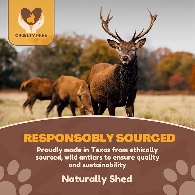 WhiteTail Naturals (3 Pack Deer Antlers for Large Dogs, Antler Dog Chews - Crafted in USA Dog Antler - Long Lasting Bone for Aggressive Chewers