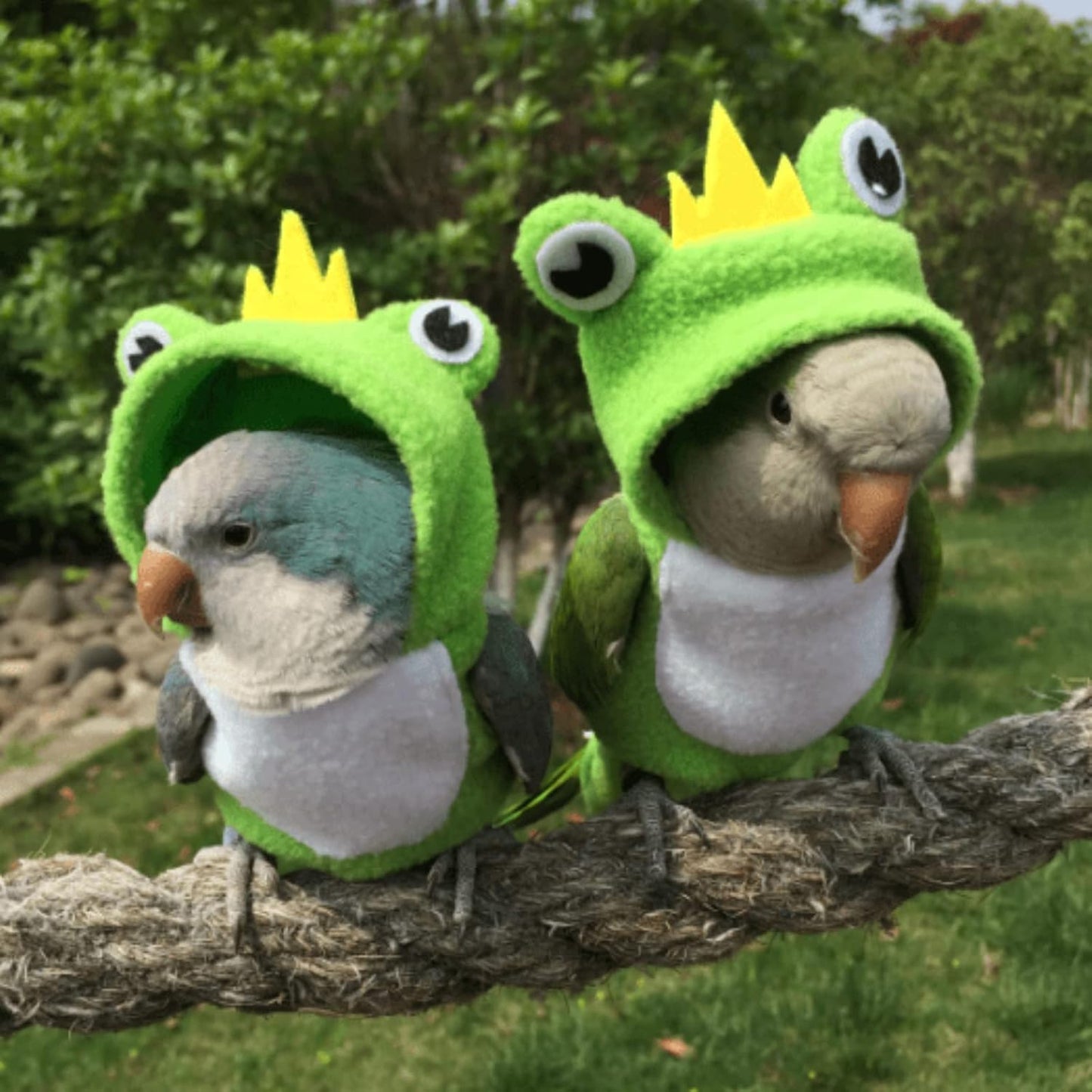 Bird Costume Diaper Flight Suit Frog Shape Hoodie Clothes Cosplay Photo Prop for Parrots Parakeet Cockatiel Sun Conure, Small Animals Apparel (Green Without Diaper, Large), (BPF1)