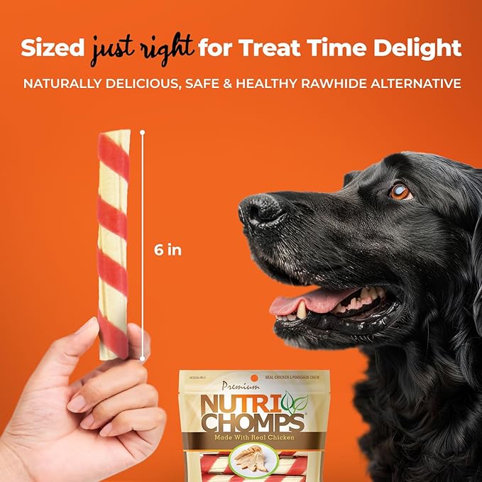 NutriChomps Dog Chews, 6-inch Twists, Easy to Digest, Rawhide-Free Dog Treats, 4 Count, Real Chicken flavor