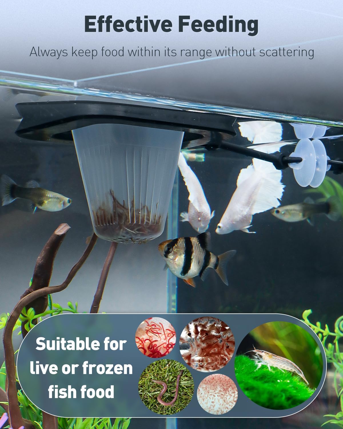 Pawfly Aquarium Bloodworm Feeder - Floating Red Worm Feeding Cup with Suction Cup, Multipurpose Fish Food Holder & Measuring Cup for Fish Tank