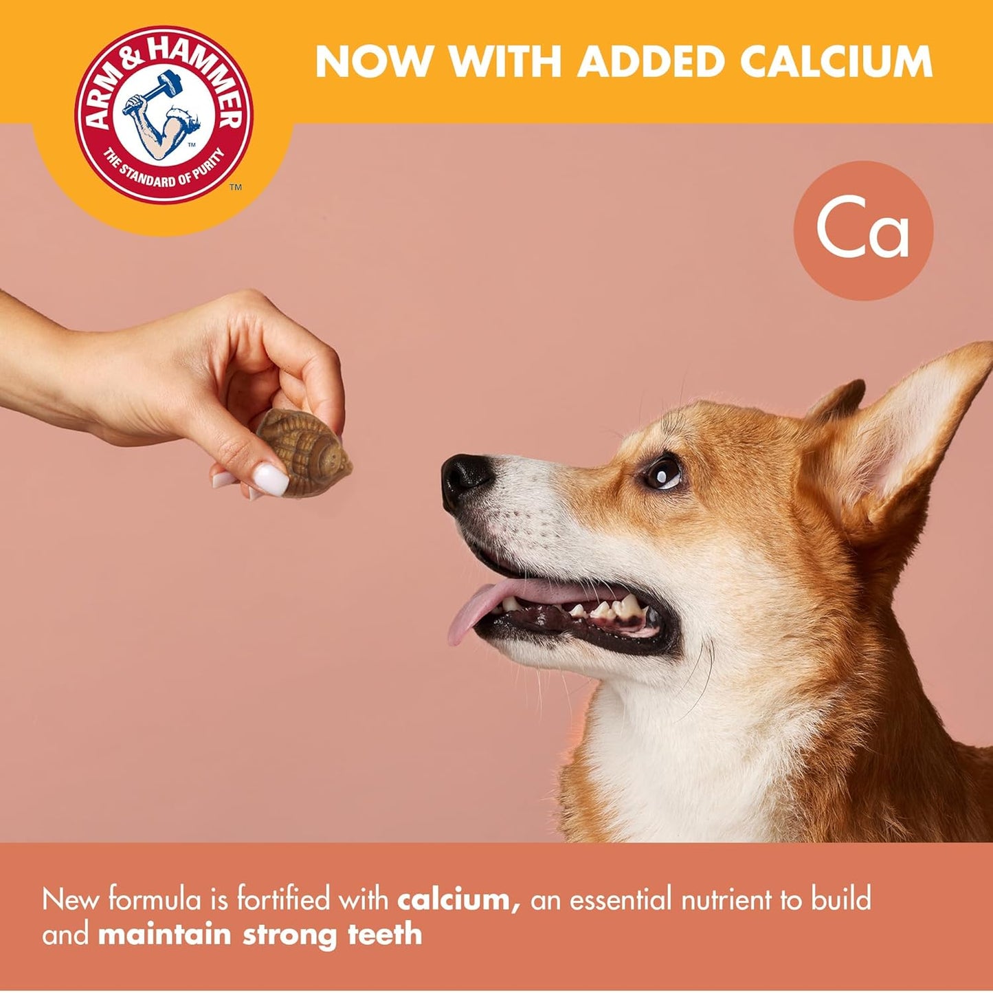 Arm & Hammer for Pets Mighties by TREADZ Dental Treats for Dogs with Baking Soda and Calcium, Help Fight Bad Breath, Plaque & Tartar without Brushing, Mint, Gorilla Shaped, 6 Pcs (Packaging may vary)