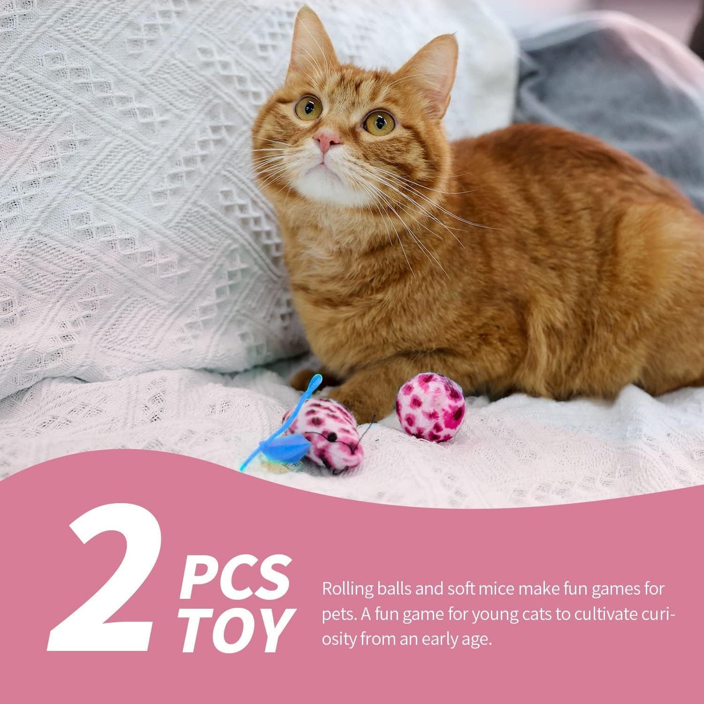 PAWISE Small Cat Litter Box Kit for Kittens – 5‑Piece Kit with Low Entry Litter Pan, Scooper, Feeding Bowls & Mouse Toy – Cat Starter Set for New Kitty Home, Pink