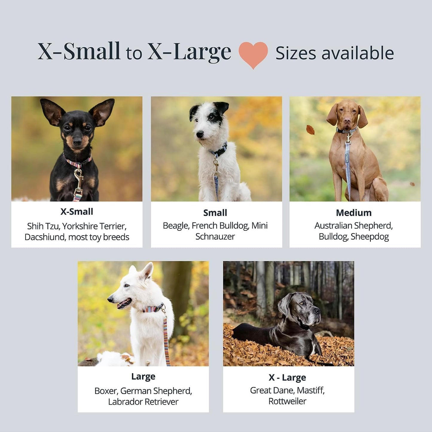 Lucky Love Dog, Winter Stocking Caps and Mittens Dog Collar and Leash Set, Matching Snowflakes Collar and Leash for Male and Female Dogs - (Small, Chilly Combo)