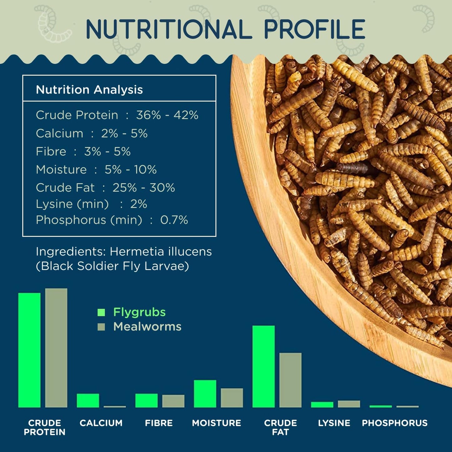 FLYGRUBS 5 lb Dried Black Soldier Fly Larvae - High-Calcium Chicken Treats for Laying Hens and Wild Birds - Nutrient-Rich Mealworm Alternative - Supports Feather Growth and Strong Eggshells