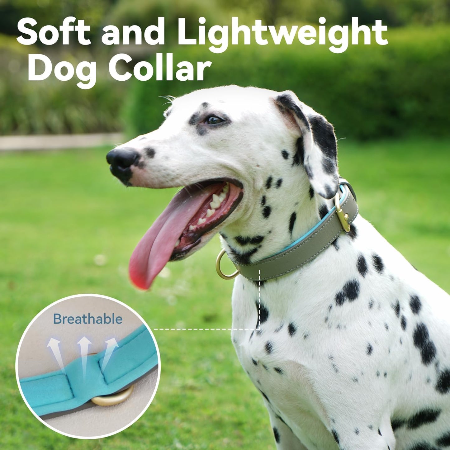 Dog Collar Soft Padded Heavy Duty Strong Collars Comfortable Basic Pet Collar with Adjustable Rust-Proof Metal Buckle Best Gift for Small Medium Large Grey Collar-S