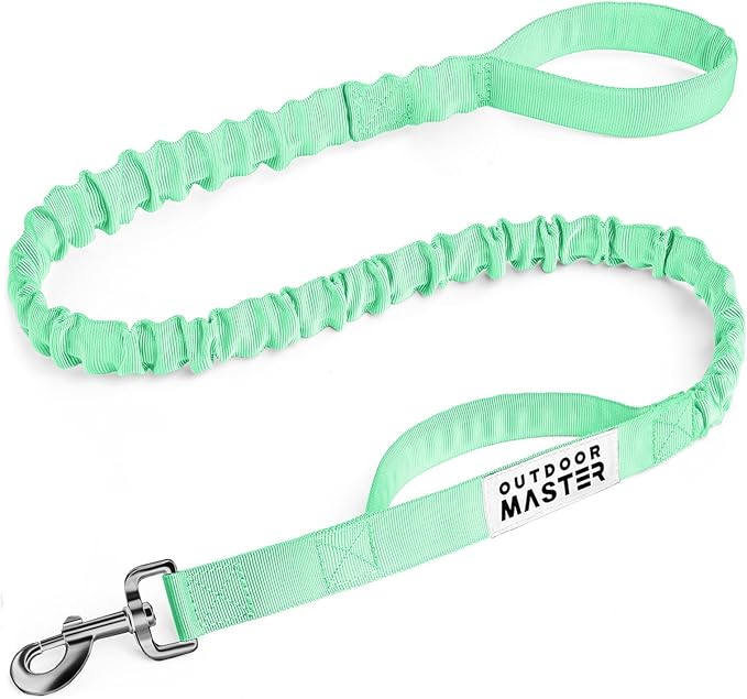OutdoorMaster Bungee Dog Leash, Heavy Duty Dog Leash with Shock Absorption, 2 Padded Handles Training Leash, Improved Dog Safety and Comfort (Green, 4 FT)