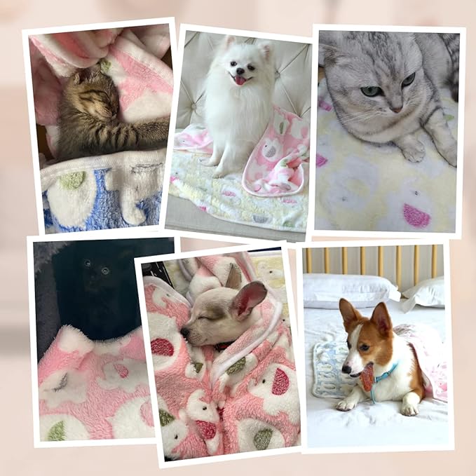 Pet Soft 1 Pack 3 Pet Blankets for Dogs - Fluffy Cats Dogs Blanket for Small Medium & Large Dog, Cute Print Pet Throw Puppy Blankets Fleece (Elephant, 3S)