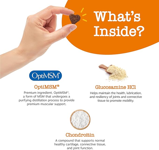 Zesty Paws Hip and Joint for Dogs, Glucosamine for Dogs Hip and Joint Supplement with Chondroitin, MSM, Vitamins C & E - Bacon, 90 Count