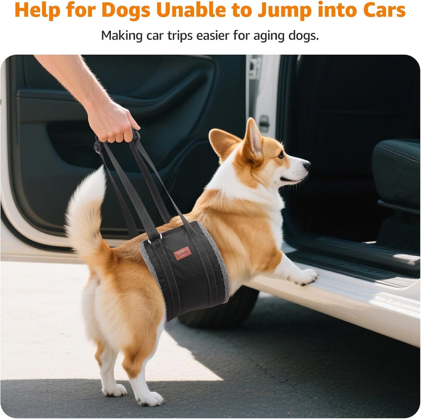 LOOBANI Portable Dog Sling for Back Legs, Hip Support Harness to Help Lift Dogs Rear for Canine Aid and Old K9 Cruciate Ligament Rehabilitation