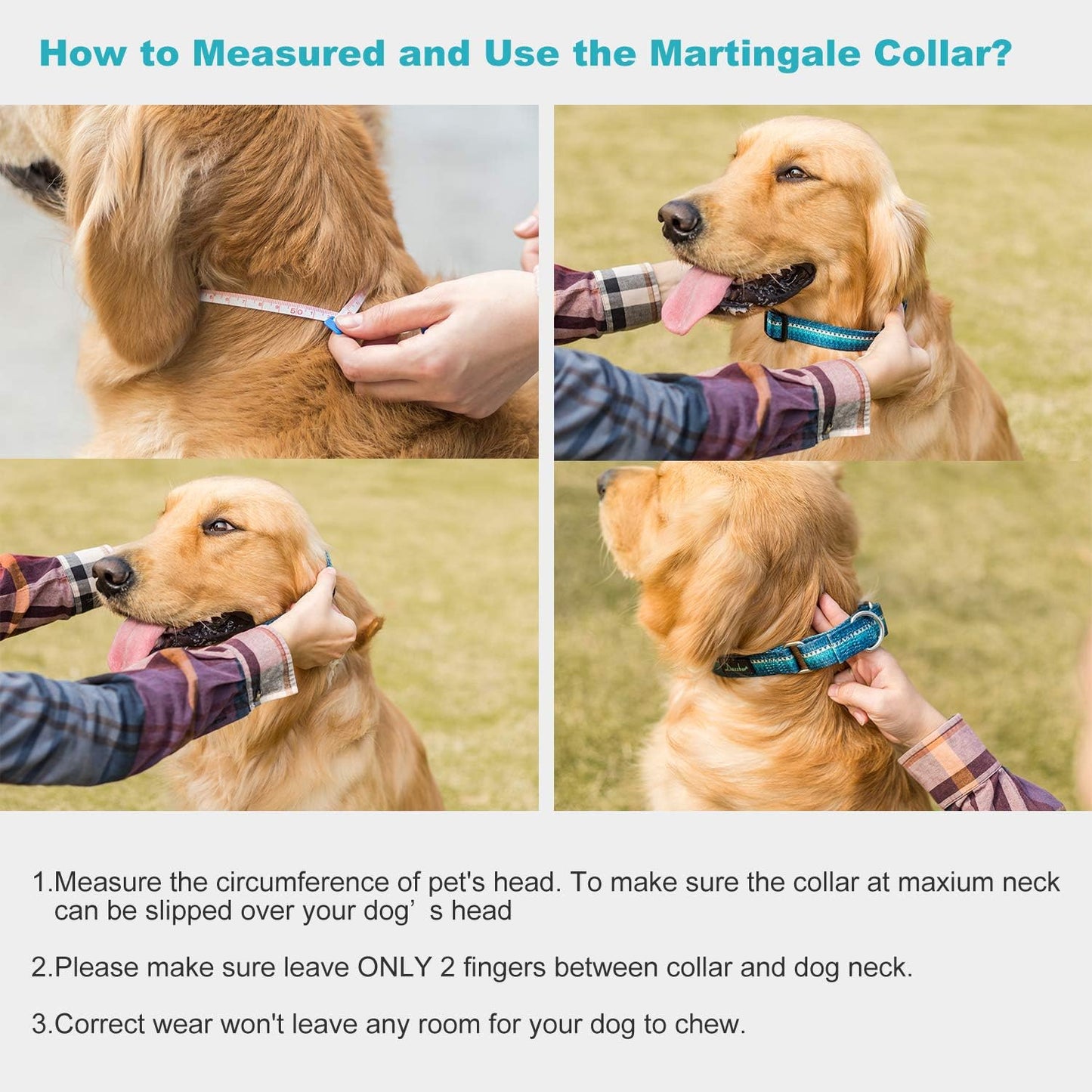 Martingale Collar Dog Collar No Pull Pet Collar Heavy Duty Dog Martingale Collars Silky Soft with Unique Geometric Pattern for Medium and Large Dogs (Large, Turquoise)