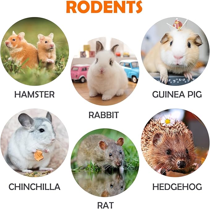 Sofier Rabbit Guinea Pig Bunny Toys 8 Pcs Chew Grass Balls Natural Chews for Rodents Teeth Handmade Enrichment Treats Chinchilla Guinea Pigs Rat Hamster Gerbil Mice