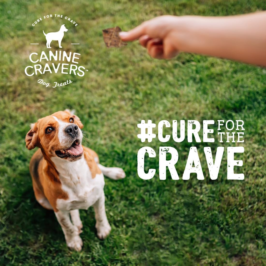 Canine Cravers Single Ingredient Dog Treats – Premium Lamb Fillets - Human Grade Air Dried Hypoallergenic Pet Food – Grain, Gluten, and Soy Free – 100% All Natural – 5.3 oz (Pack of 2)