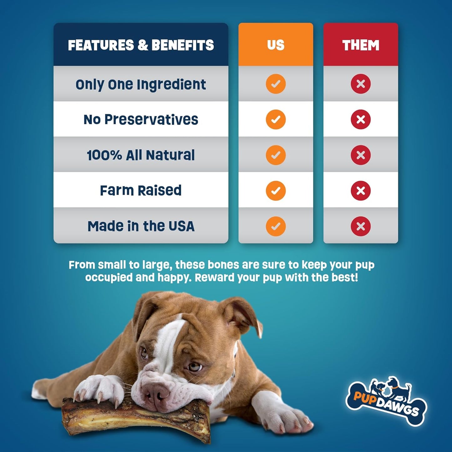 Beef Knee Cap Bones for Dogs Made in The USA | Single Ingredient Long Lasting & Protein Rich (3 Piece Pack)