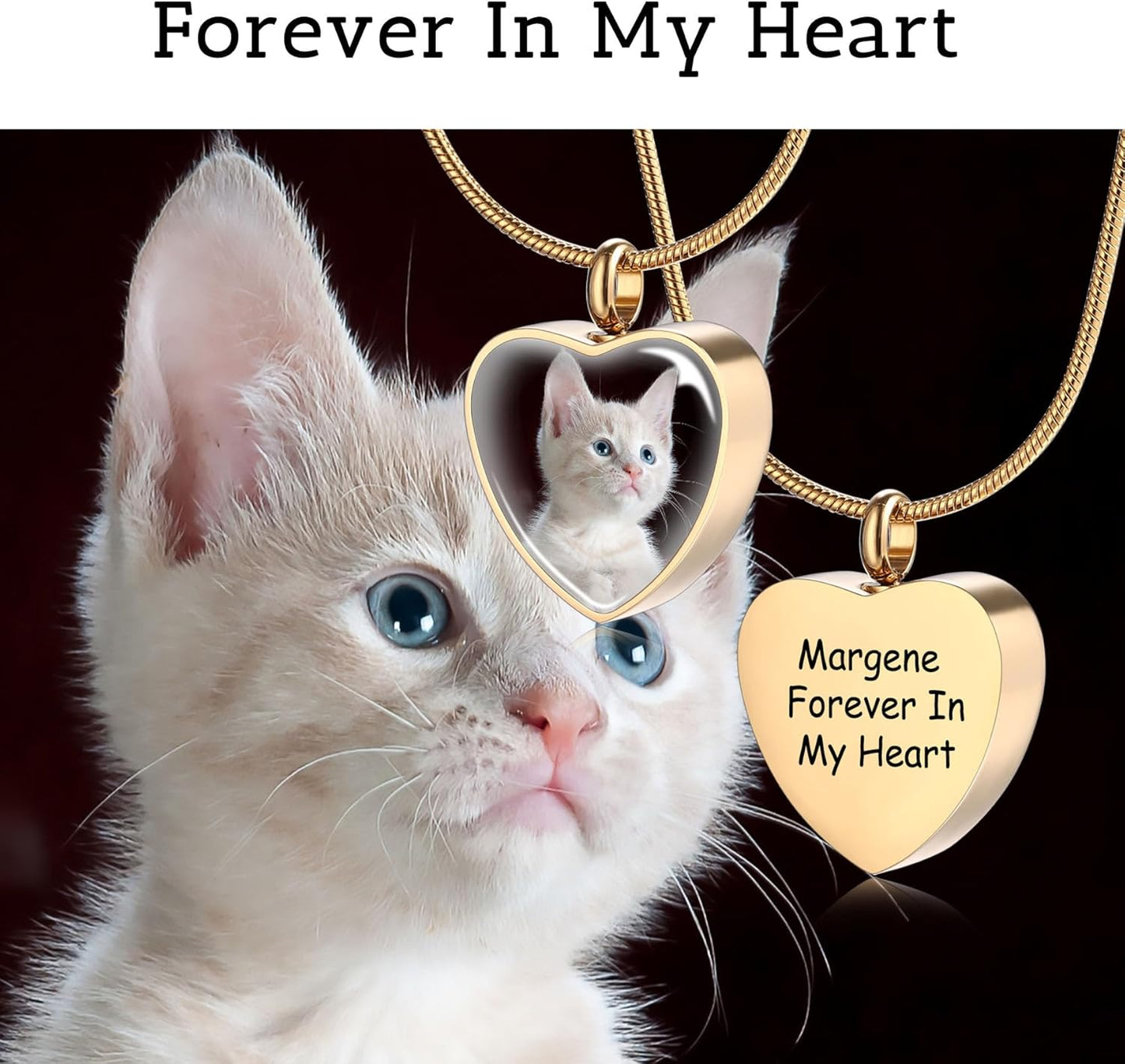 MeMeDIY Personalized Heart Paw Print Ashes Urn Pendant Necklace Custom Name/Photo/Date for Women Men Pet Lover Stainless Steel Memorial Dog Cat Pet Keepsake with Funnel Fill Kit Angel Wing