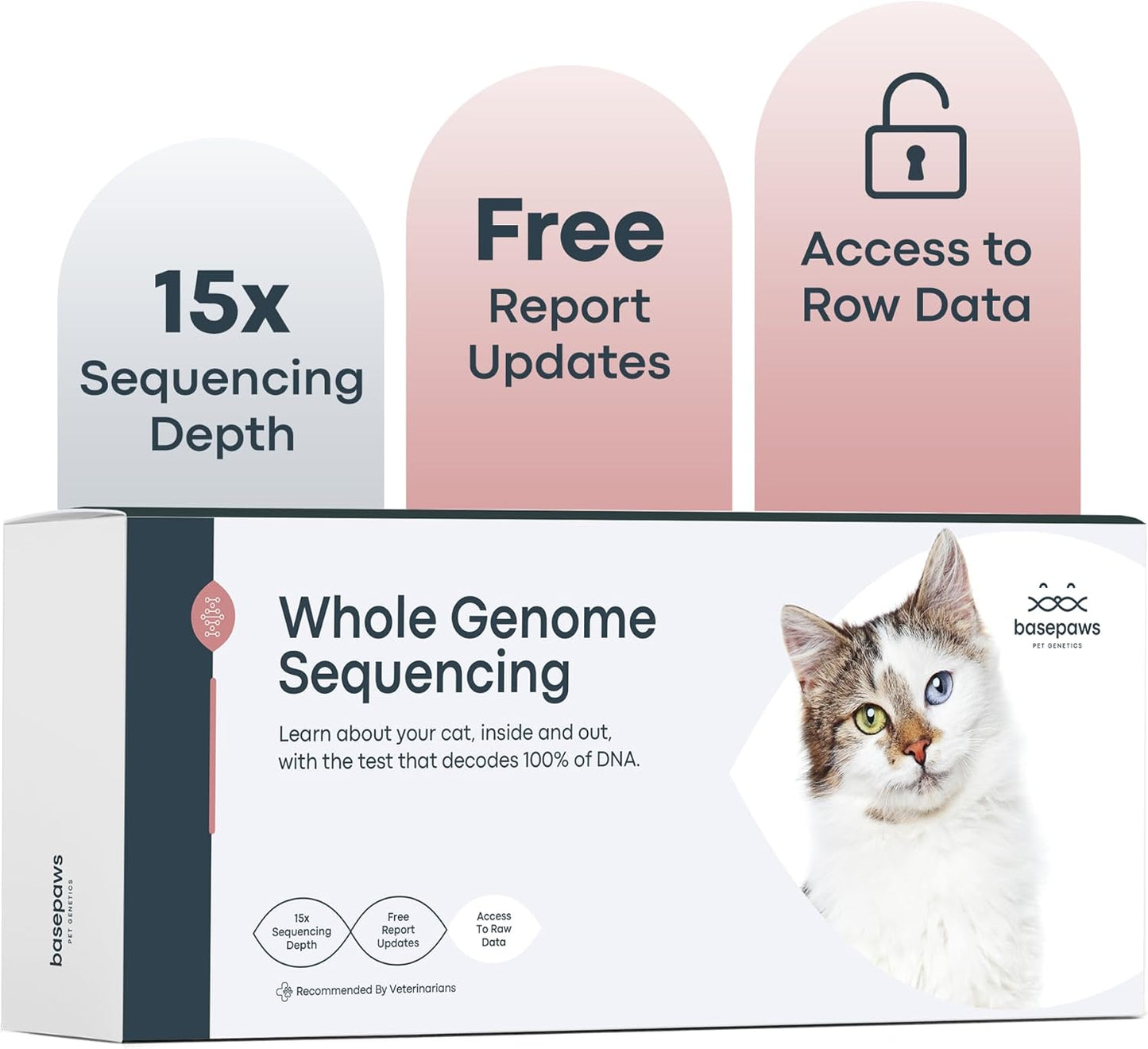 Basepaws Cat DNA Test Kit - Comprehensive Breed, Health and Dental Analysis Across 114 Traits for Accurate and Easy-to-Use Genetic Insights (Cat Whole Genome Sequencing, Basic)