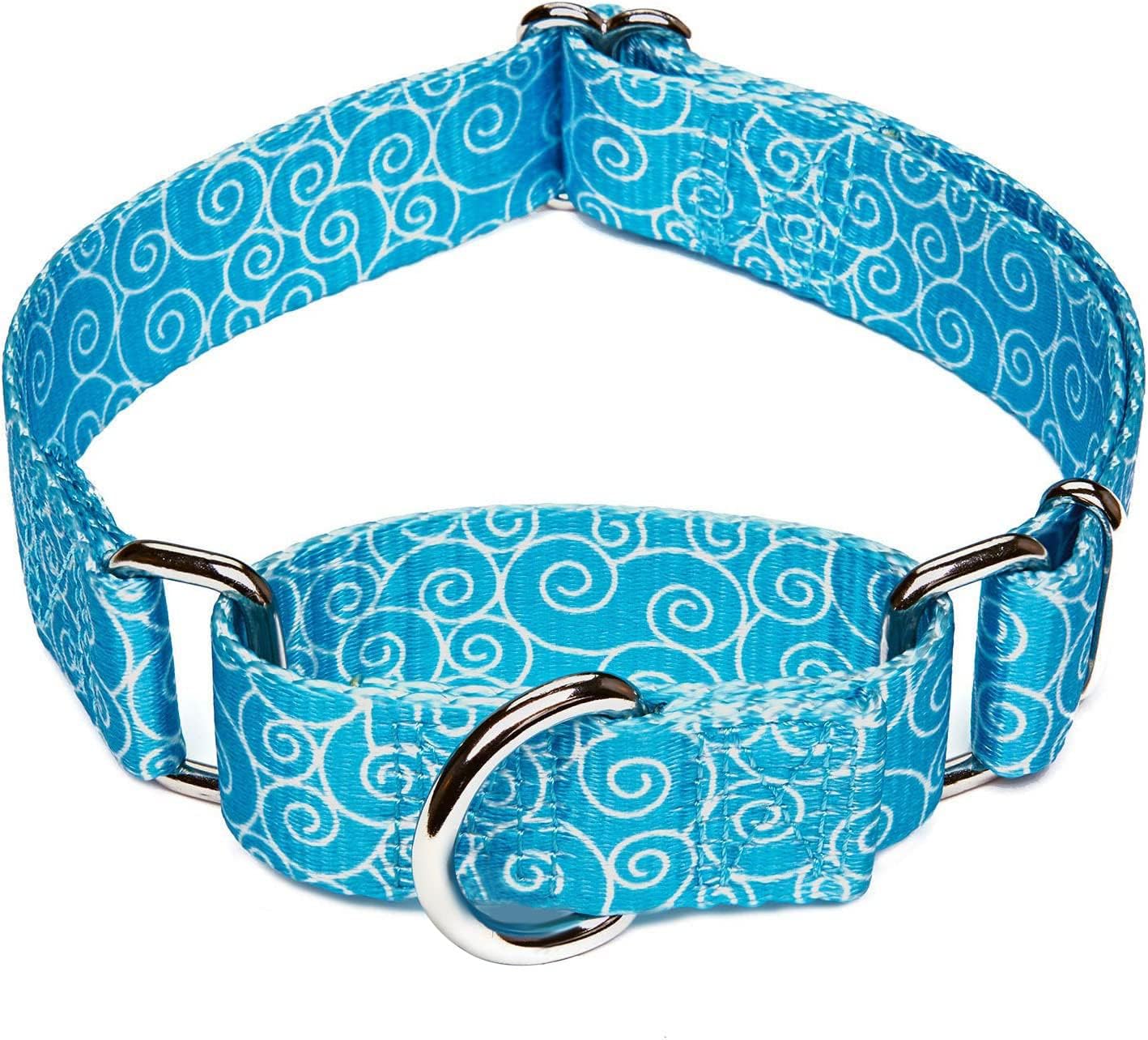 Martingale Collar Nylon Dog Collar No Pull Pet Collar Heavy Duty for Medium and Large Dogs, Adjustable 14 Inch - 21 Inch, Sky Blue