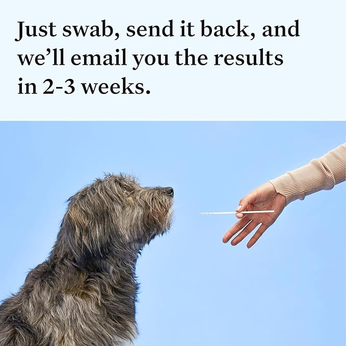 Wisdom Panel Essential Dog DNA Kit: Most Accurate Test for 365+ Breeds, 30 Genetic Health Conditions, 50+ Traits, Relatives, Ancestry - 2 Pack