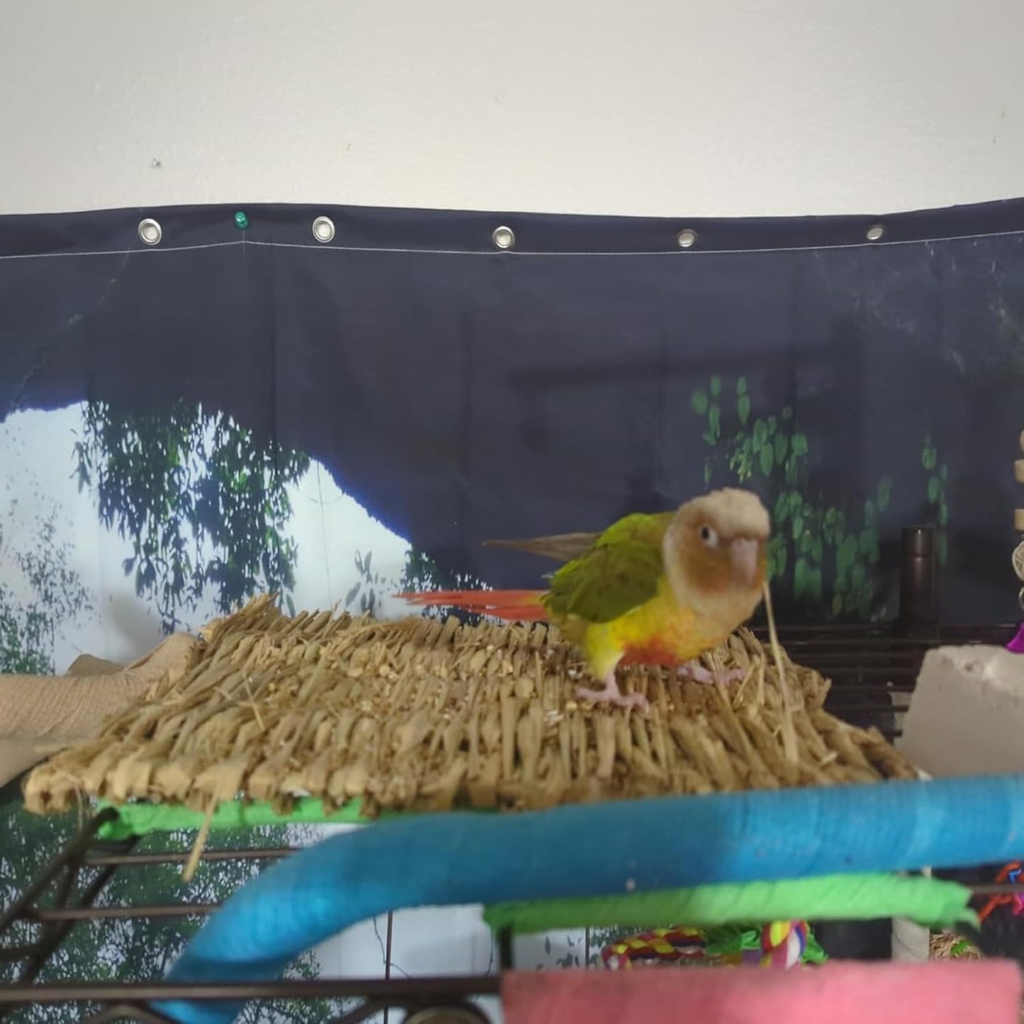 Rabbit Grass Mats,Bunny Grass Mat,Woven Straw Mat Bed Rabbits Hay Mat Sleeping Bunny Natural Handcrafted Woven Bed Nesting and Toys for Guinea Pig Hamster Chinchilla Squirrel(6 PCS)