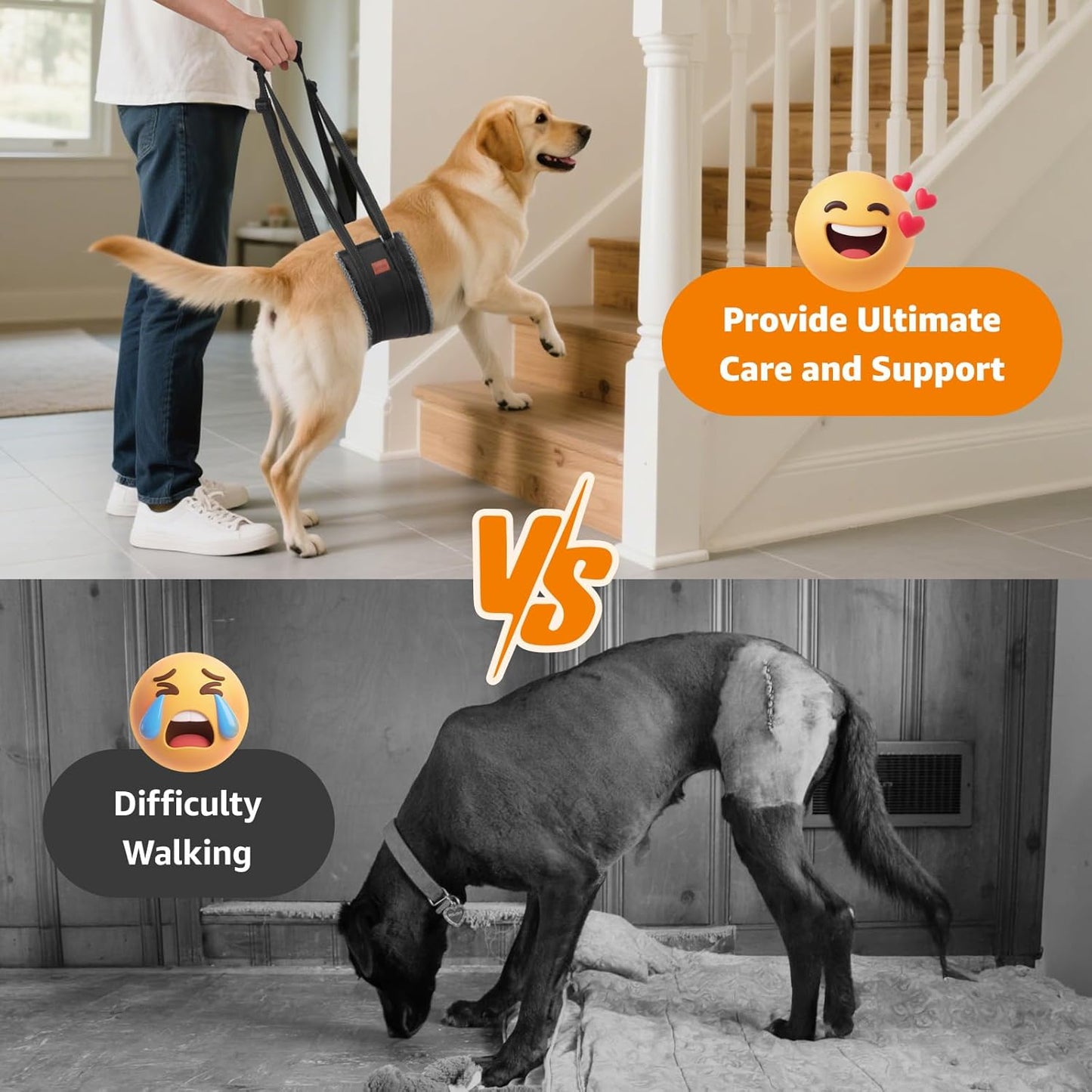 LOOBANI Portable Dog Sling for Back Legs, Hip Support Harness to Help Lift Dogs Rear for Canine Aid and Old K9 Cruciate Ligament Rehabilitation