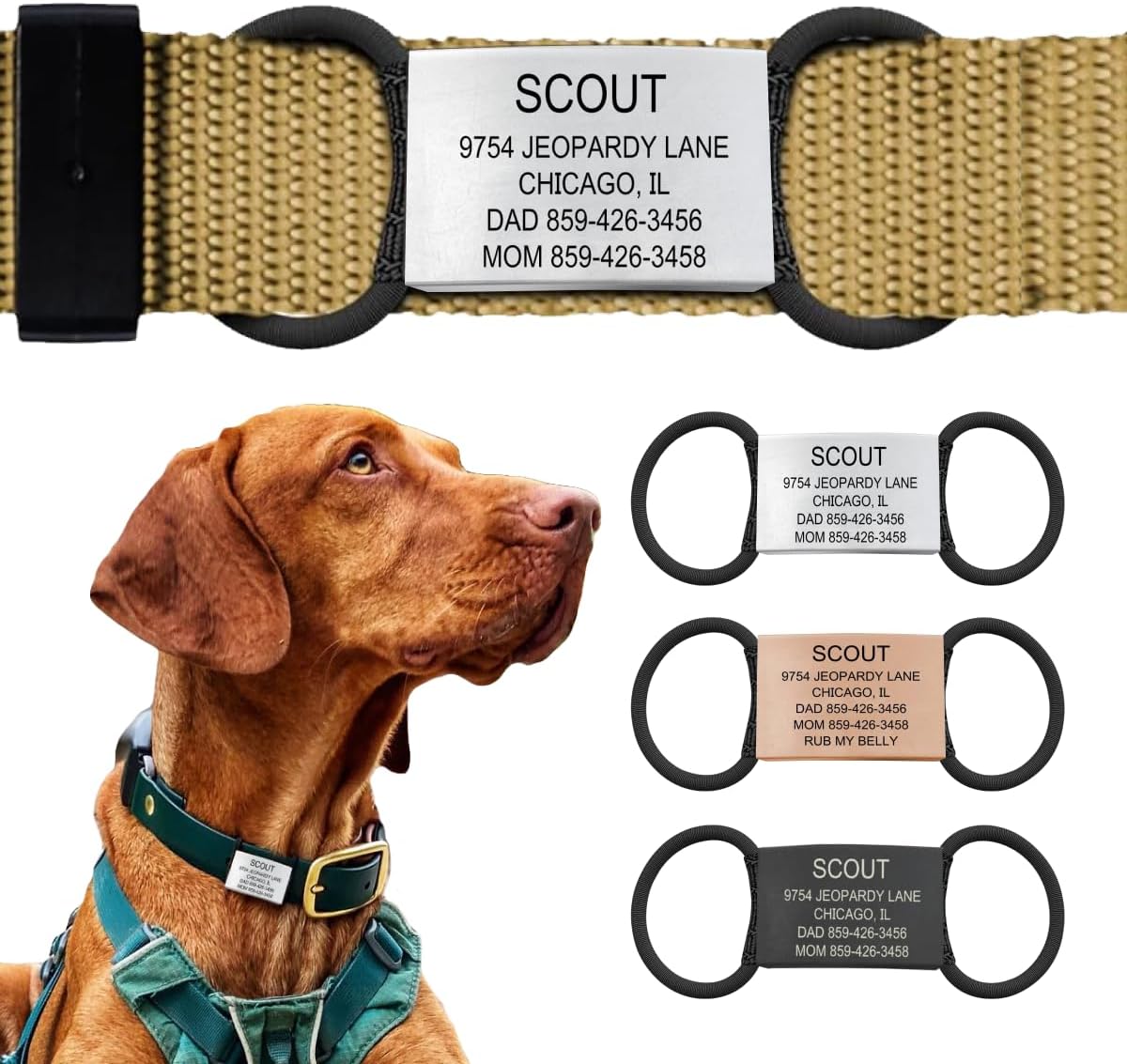 Personalized Dog Tags by ROAD iD | Silent & Durable | Jingle-Free Slide-On Design | Stainless Steel Name Tag Fits Any Collar | Multiple Colors & Sizes for Your Pet's Unique Style