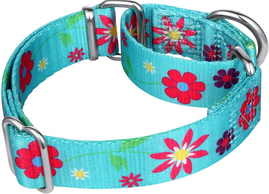 Martingale Collar Floral Print Puppy Dog Collar - No Pull Pet Collar, Heavy Duty Adjustable Dog Collar, Small, Neck 10 Inch -15 Inch, Sun Flowers (Teal)