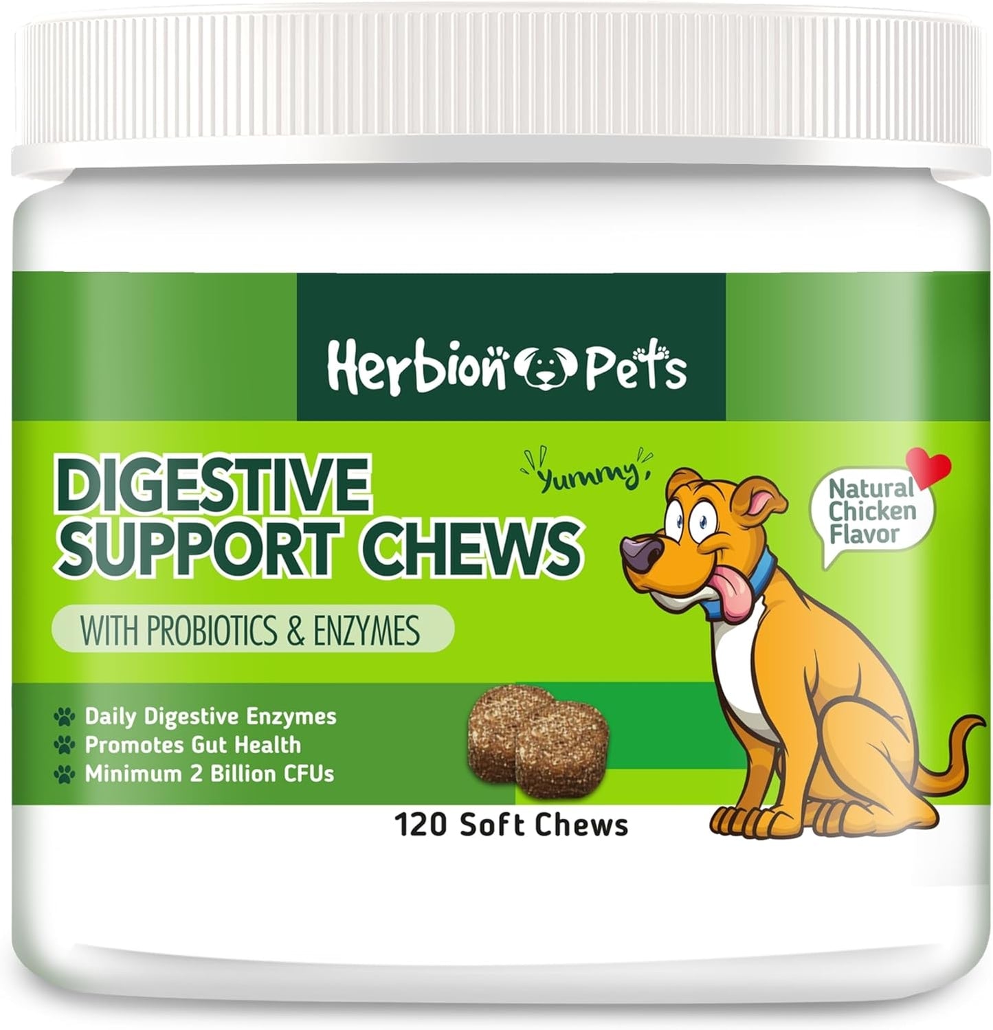 Herbion Pets Digestive Support Chews with Probiotics & Enzymes, 120 Soft Chews, with Daily Digestive Enzymes, for Improved Gut Health, Minimum 2 Billion CFUs, Made in USA for Dogs 12 Weeks+, Pack 1