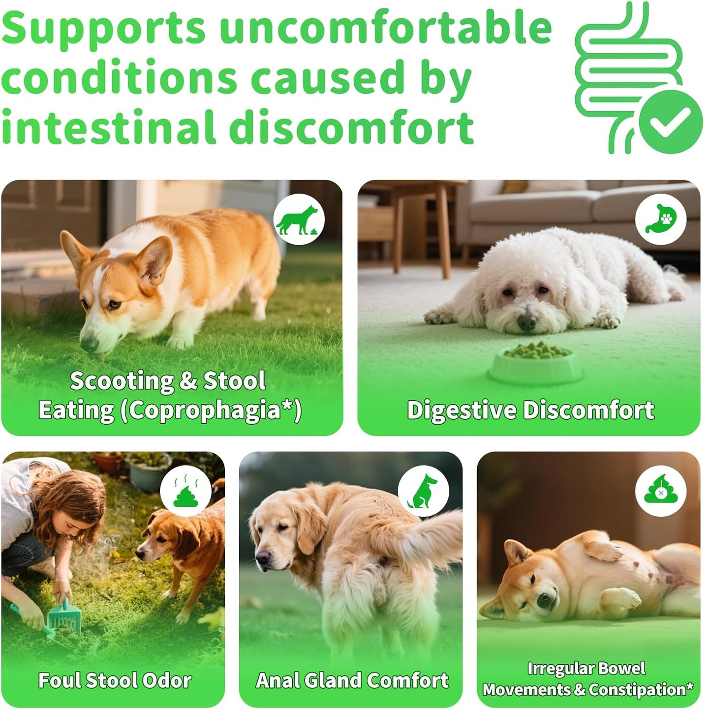 Dog Probiotics & Digestive Enzymes – Pumpkin Fiber Chews for Gut Health, Diarrhea & Upset Stomach Relief, Gas & Stool Support, Chicken Flavor Soft Chews – 90 Count