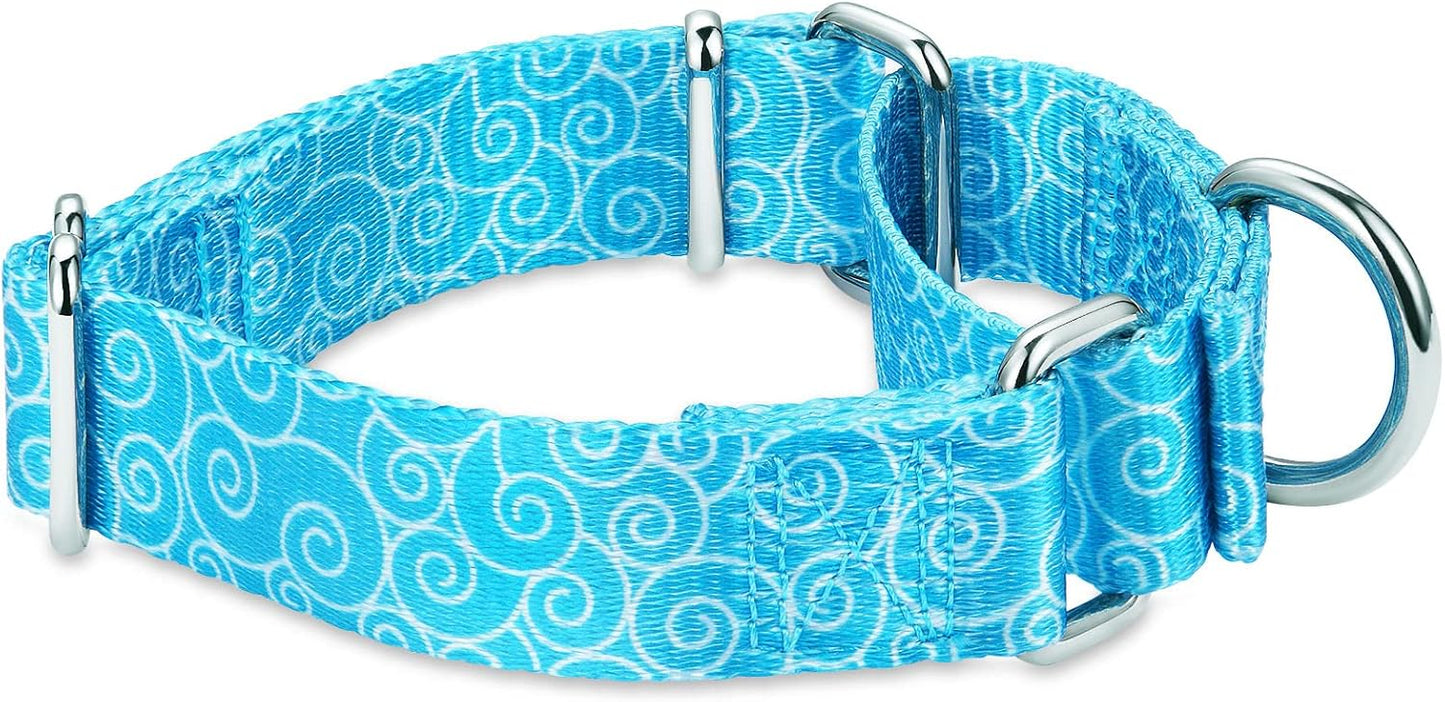 Martingale Collar Nylon Dog Collar No Pull Pet Collar Heavy Duty for Medium and Large Dogs, Adjustable 14 Inch - 21 Inch, Sky Blue