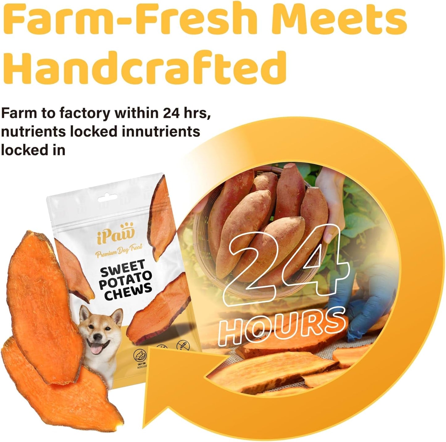 iPaw Sweet Potato Chews, Single Ingredient Dog Treats for Vegetarian, All Natural Human Grade Puppy Chew, Rawhide Alternative, Hypoallergenic, Easy to Digest, 2 Packs