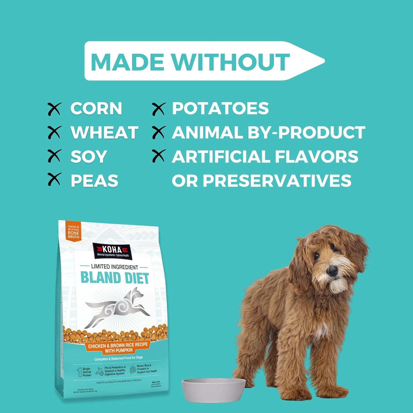 KOHA Limited Ingredient Bland Diet Dry Food for Dogs - Chicken & Brown Rice Recipe, Sensitive Stomach Dog Food - Pumpkin for Digestive Support, 3.5 lbs